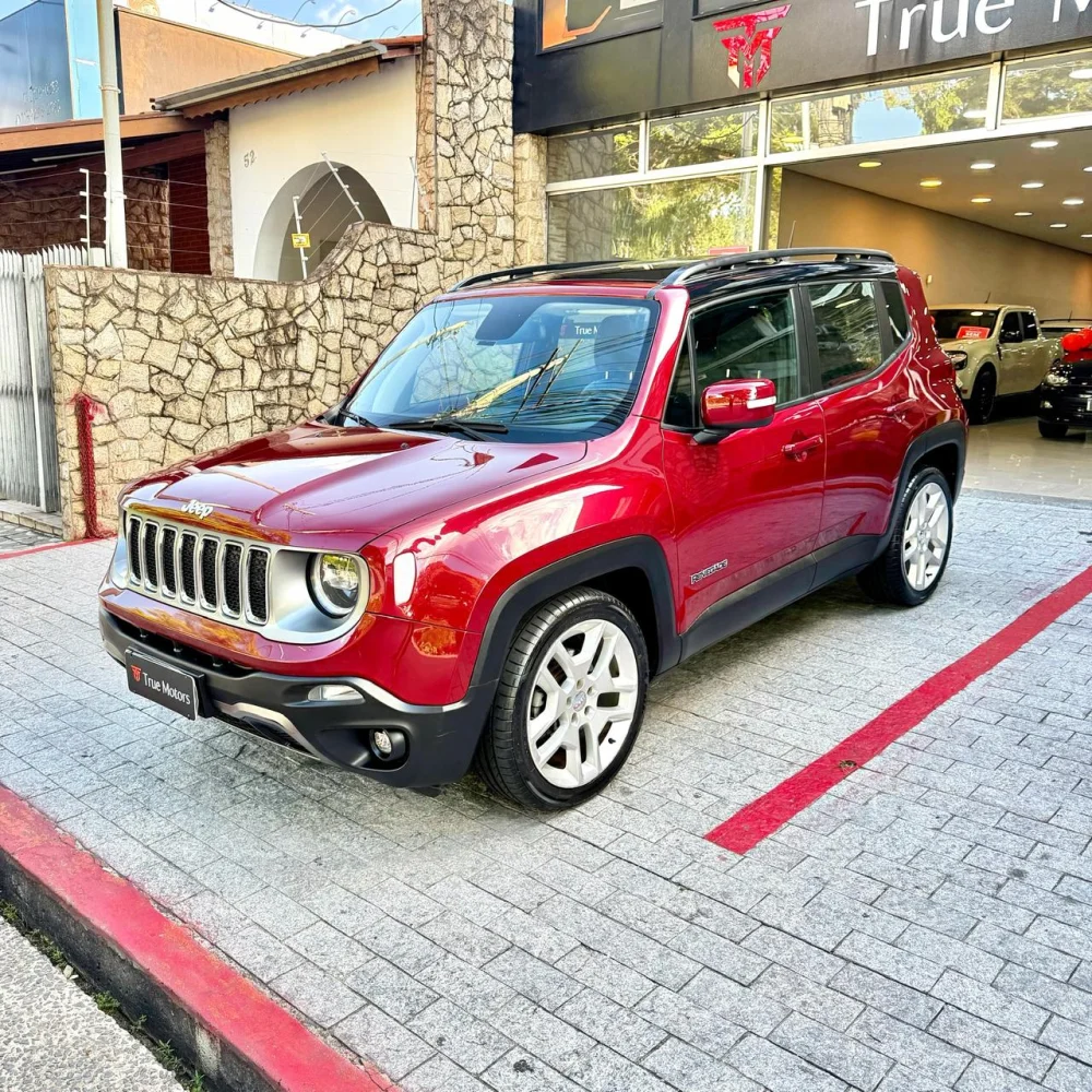 RENEGADE LIMITED