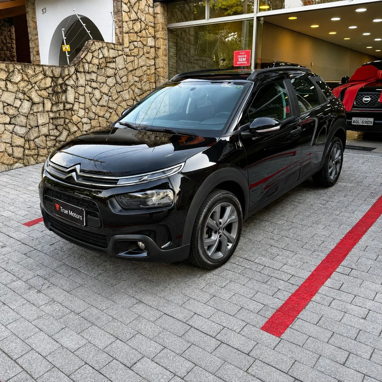C4CACTUS FEEL A